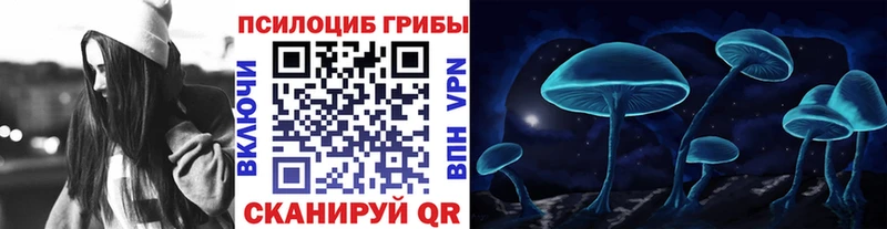 Купить закладки  Луза  Галлюциногенные грибы ЛСД 